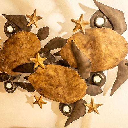5 Frogs Hotel Bucerías Zewnętrze zdjęcie